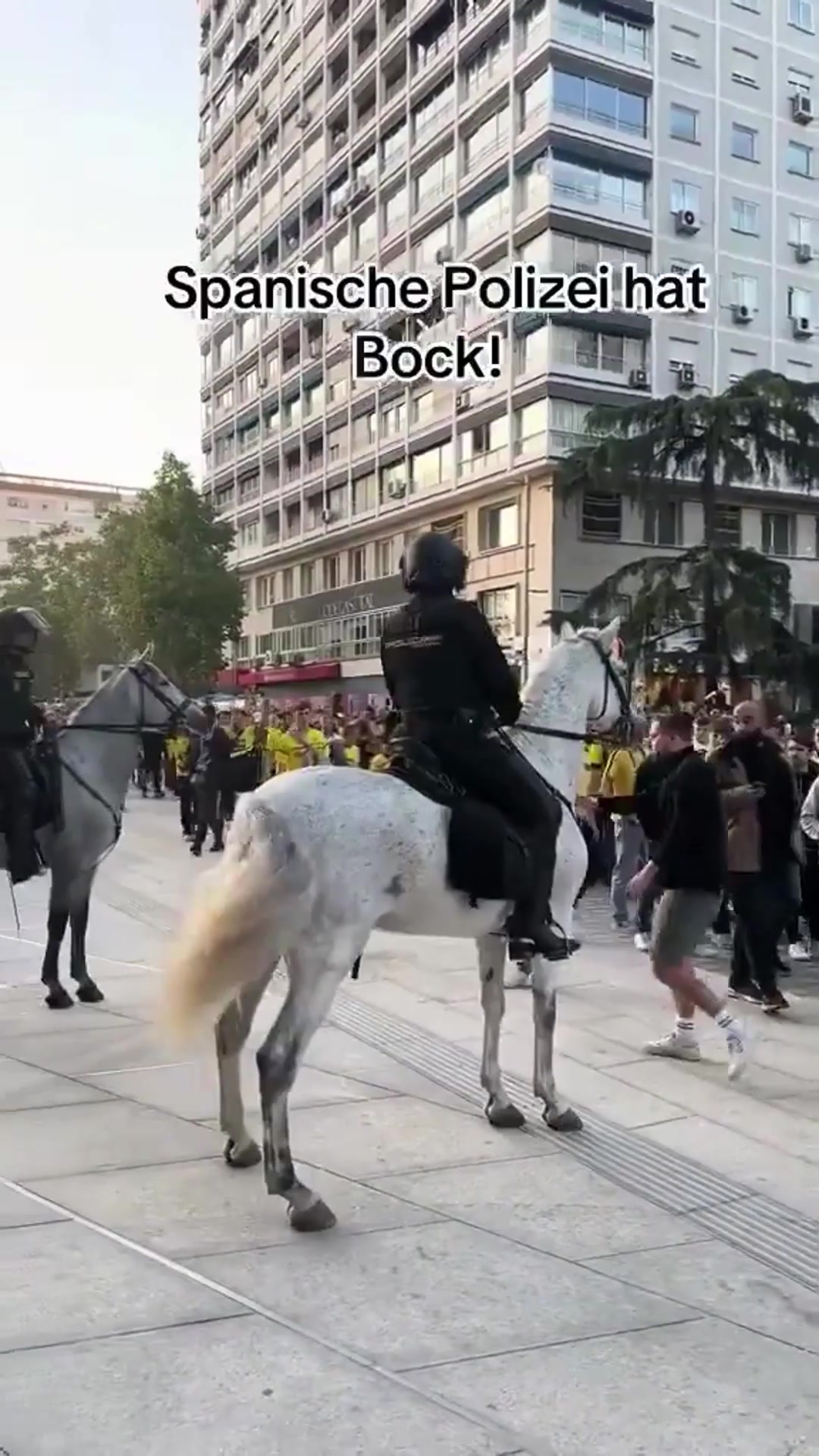 怎么個事？昨日歐冠，西班牙警察騎馬撞翻一名多特球迷