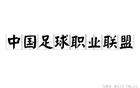 職業(yè)聯(lián)盟與俱樂部會員制，國內(nèi)足壇有效途徑？