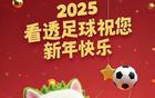 乙巳新春，看透體育賀詞