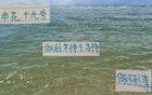 申花19號破防，馬萊萊、米神難及。
