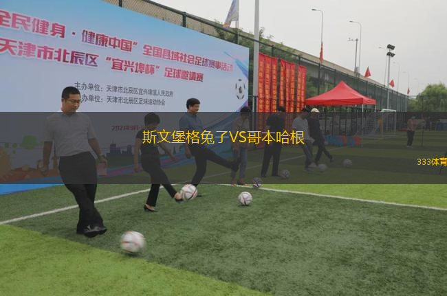 斯文堡格兔子VS哥本哈根