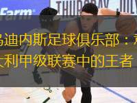 烏迪內(nèi)斯足球俱樂(lè)部：意大利甲級(jí)聯(lián)賽中的王者