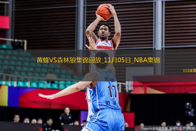 11月05日NBA常規(guī)賽 黃蜂 - 森林狼 精彩鏡頭