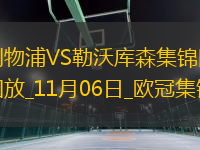 11月06日歐冠聯(lián)賽階段第4輪利物浦vs勒沃庫(kù)森精彩片段