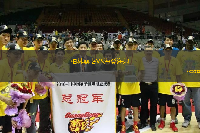 柏林赫塔VS海登海姆