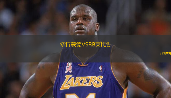 多特蒙德VSRB萊比錫