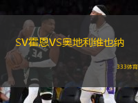 SV霍恩VS奧地利維也納