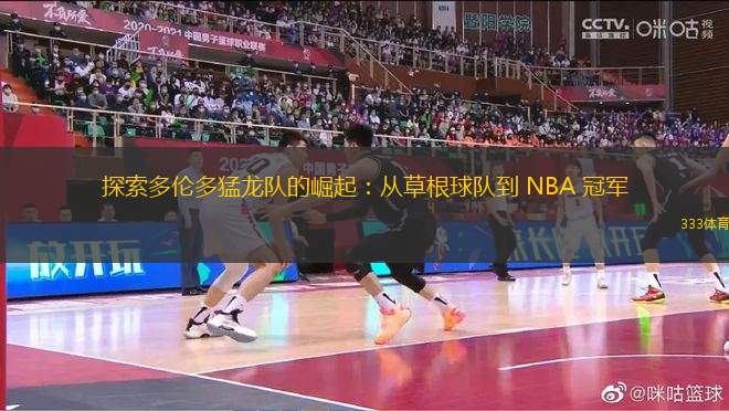 探索多倫多猛龍隊(duì)的崛起：從草根球隊(duì)到 NBA 冠軍