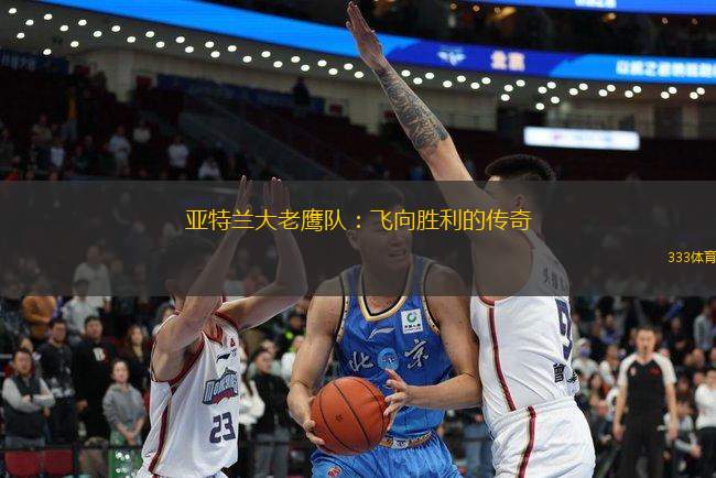 亞特蘭大老鷹隊：飛向勝利的傳奇