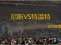 尼斯VS特溫特