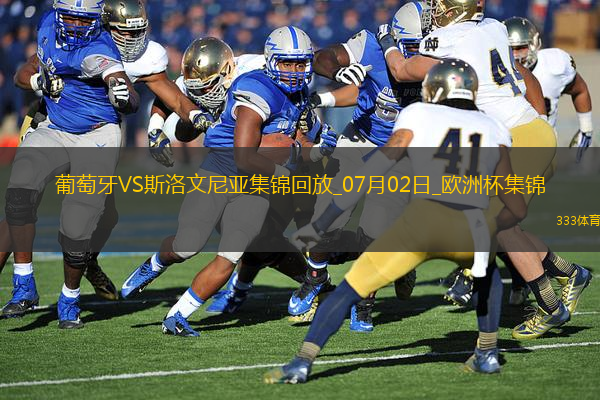 07月02日歐洲杯1/8決賽葡萄牙vs斯洛文尼亞精彩片段