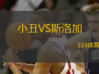 小丑VS斯洛加