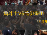 角斗士VS蓋伊奎里