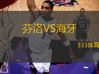 芬洛VS海牙