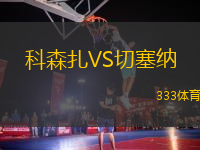 科森扎VS切塞納