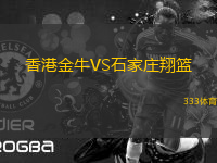 香港金牛VS石家莊翔籃