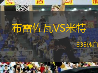 布雷佐瓦VS米特