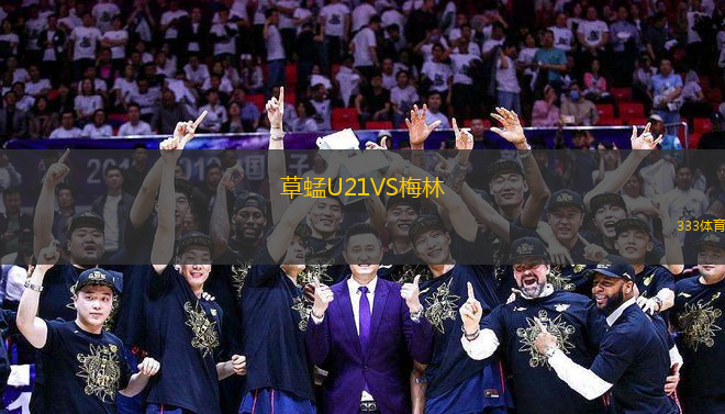 草蜢U21VS梅林