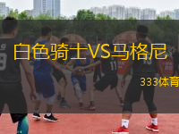 白色騎士VS馬格尼