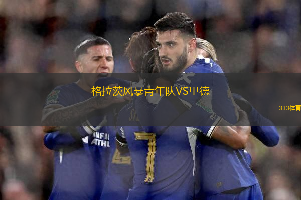 格拉茨風(fēng)暴青年隊VS里德