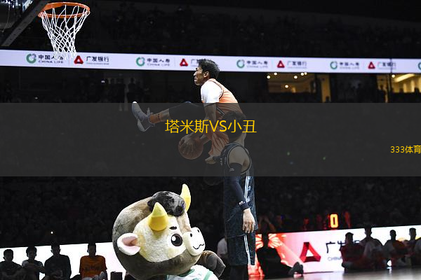 塔米斯VS小丑