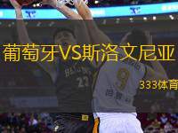 葡萄牙VS斯洛文尼亞