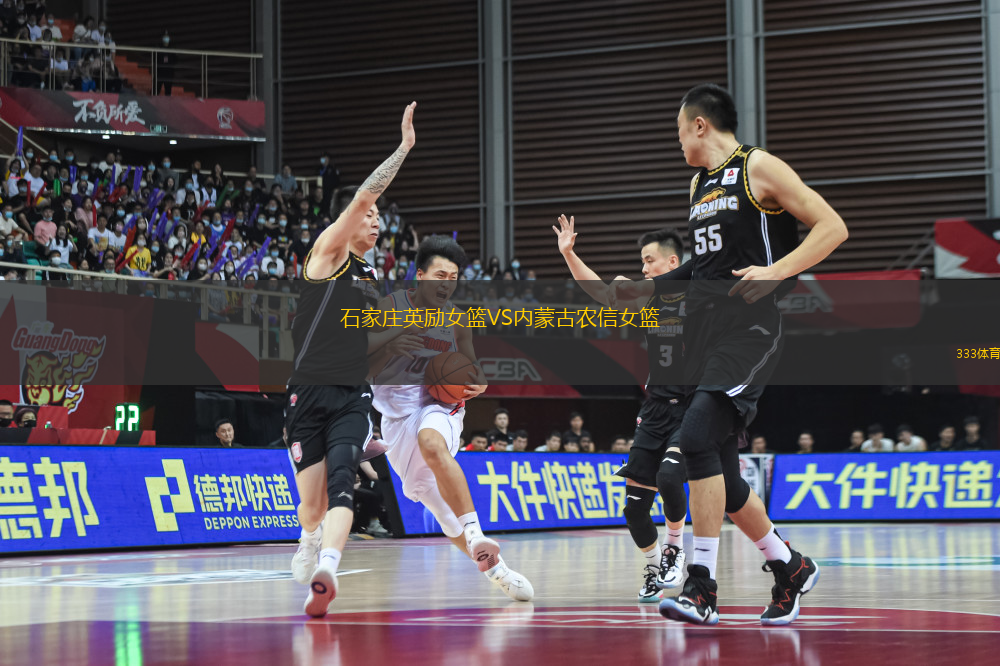 石家莊英勵女籃VS內(nèi)蒙古農(nóng)信女籃