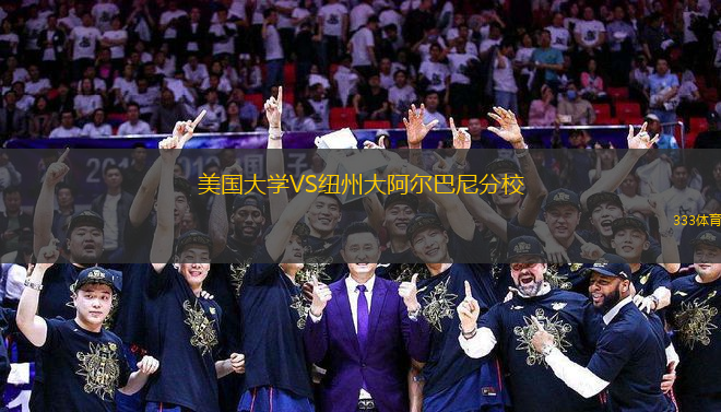 美國大學(xué)VS紐州大阿爾巴尼分校