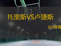托里斯VS盧捷斯