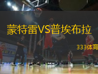 蒙特雷VS普埃布拉