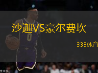 沙迦VS豪爾費(fèi)坎