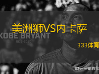 美洲獅VS內(nèi)卡薩