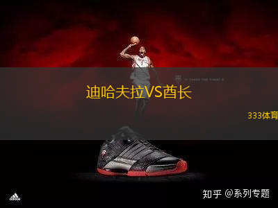 迪哈夫拉VS酋長