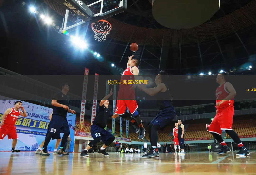 埃爾夫斯堡VS尼斯