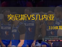 突尼斯VS幾內(nèi)亞