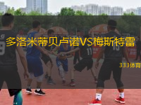多洛米蒂貝盧諾VS梅斯特雷