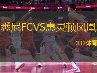 悉尼FCVS惠靈頓鳳凰