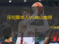 深圳青年人VS佛山南獅