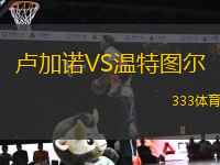 盧加諾VS溫特圖爾