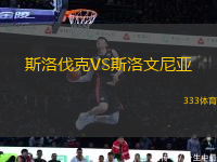 斯洛伐克VS斯洛文尼亞