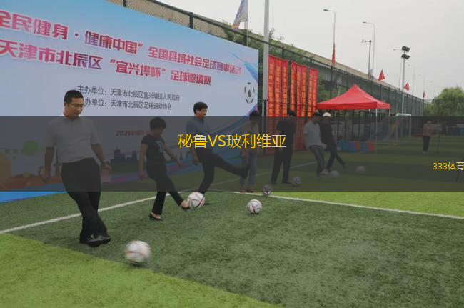 秘魯VS玻利維亞