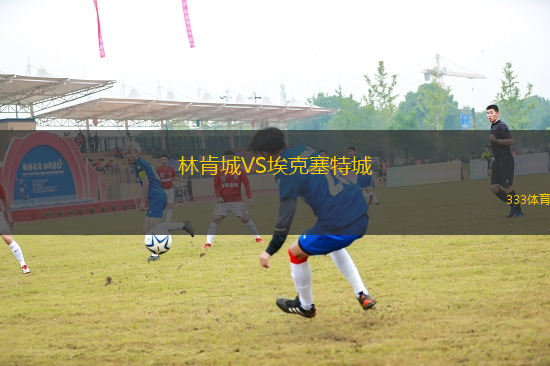 林肯城VS?？巳爻?> </a>
                  <div   id=